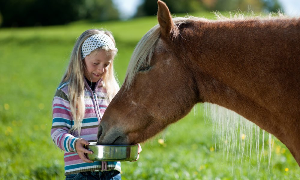 Equitazione a volontà per i bambini 